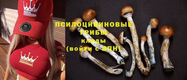 молекула духа Уссурийск