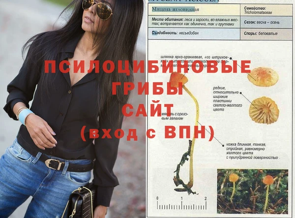 ALPHA-PVP Медвежьегорск