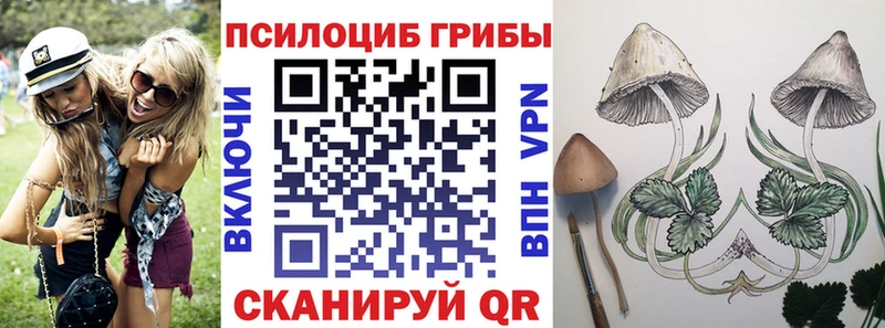площадка Telegram  Новое Девяткино  Галлюциногенные грибы GOLDEN TEACHER 